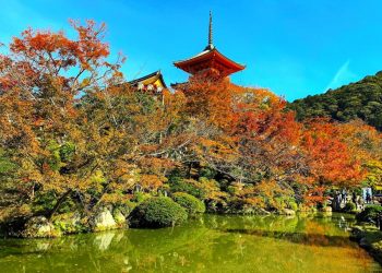 TST tourist giới thiệu những điểm đến mới trong loạt tour mùa thu châu Âu và châu Á - 3