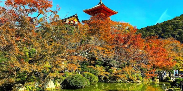 TST tourist giới thiệu những điểm đến mới trong loạt tour mùa thu châu Âu và châu Á - 3