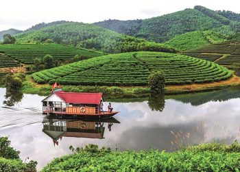 Du ngoạn về vùng chè Thanh Chương - 6