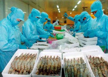 xuất khẩu tôm vào thị trường Mỹ với mức áp thuế bằng 0 - 2