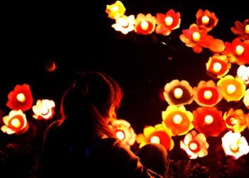 Tản mạn: Tháng Bảy âm lịch - mùa Vu Lan báo hiếu - 1