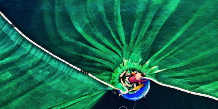 30 bức ảnh đoạt giải thưởng Bảo tồn thiên nhiên thế giới 2019 khiến bạn mê mẩn - 8