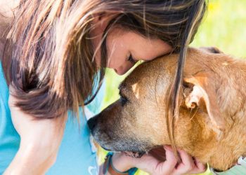 6 căn bệnh mà chó có thể đánh hơi được - 2