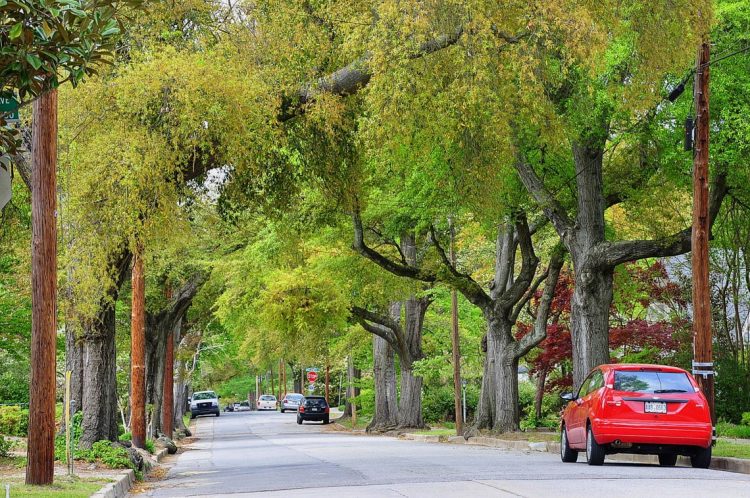 Augusta - thành phố lớn thứ nhì của bang Georgia - 7