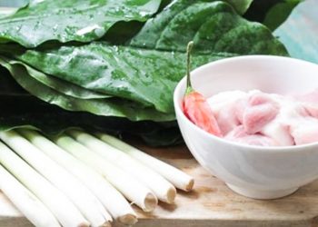 Canh lá đắng - Thượng nguồn sông Mã bát canh lá rừng - 4