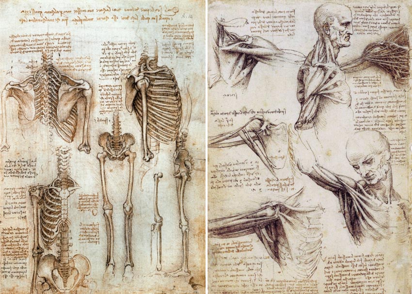 Leonardo da Vinci: Bí ẩn của sức hấp dẫn vượt thời gian - 4