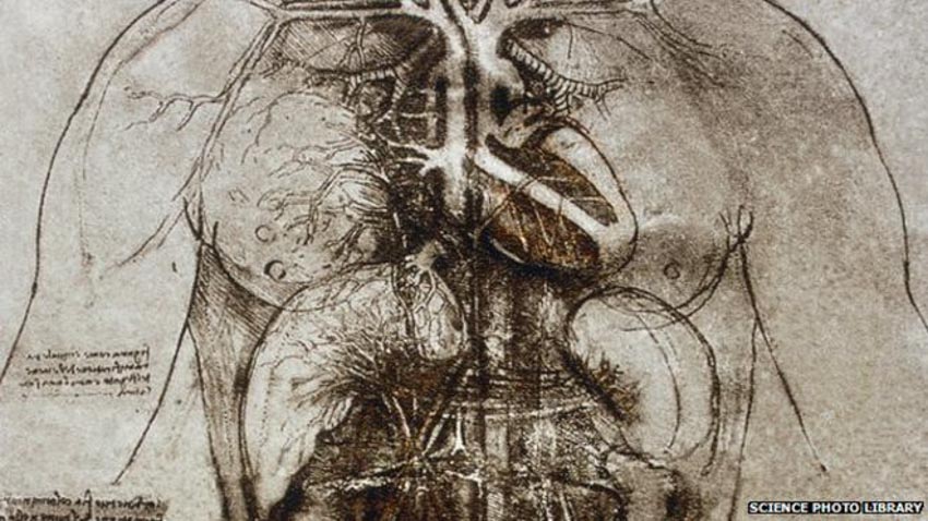 Leonardo da Vinci: Bí ẩn của sức hấp dẫn vượt thời gian - 6