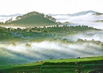 Nên thơ và khoáng đạt rừng núi Di Linh - 2