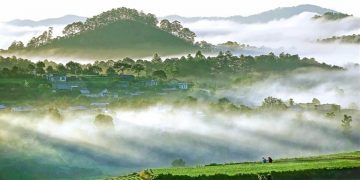 Nên thơ và khoáng đạt rừng núi Di Linh - 2