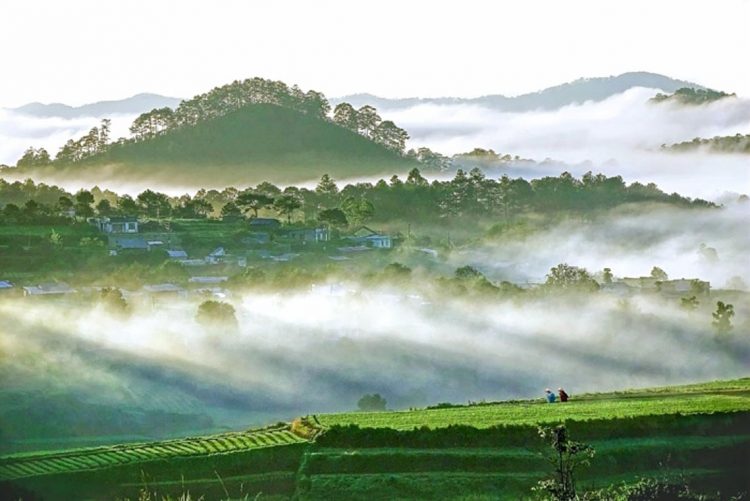 Nên thơ và khoáng đạt rừng núi Di Linh - 2