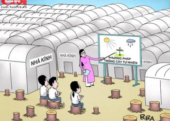 Thang thuốc bổ: Cổ vũ tinh thần - 1