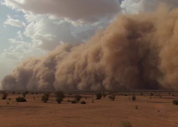 Khi thiên nhiên can thiệp vào sự xung đột giữa con người - 15