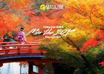 Những tour du lịch mùa thu lãng mạn nhất 2019