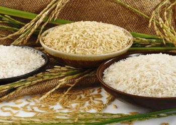 Trợ giá lúa gạo của Thái Lan: "Con dao hai lưỡi" đối với Việt Nam? - 2