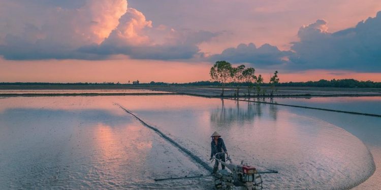 Vẻ đẹp miền Tây mùa nước nổi - 7