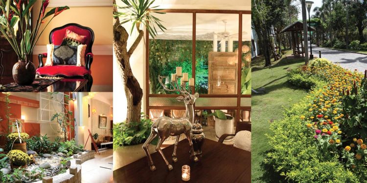 Năm mới, kiêng kỵ vừa đủ-1