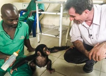 Khám phá đường dây bí mật tổ chức buôn lậu tinh tinh - 7