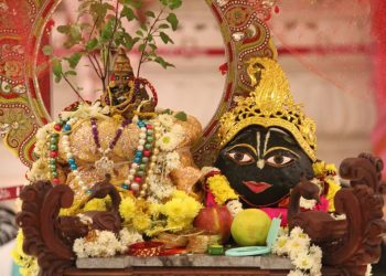 Húng quế - cây thiêng của Ân giáo - 8