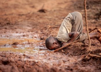 Những bức ảnh thắng giải cuộc thi Nhiếp ảnh gia môi trường năm 2019 - 4