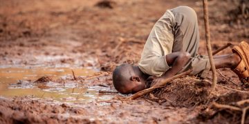 Những bức ảnh thắng giải cuộc thi Nhiếp ảnh gia môi trường năm 2019 - 4