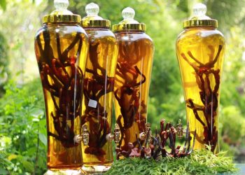 Đôi điều cần biết về rượu thuốc - 1