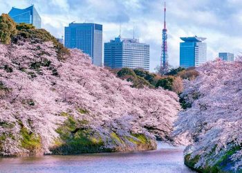 Hội thảo hợp tác kinh doanh Tokyo - Việt Nam - 3