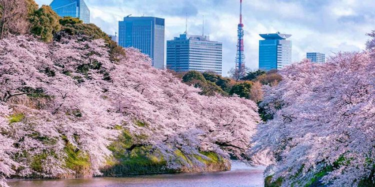 Hội thảo hợp tác kinh doanh Tokyo - Việt Nam - 3