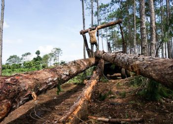 Khi lòng tham thống trị xã hội - 2