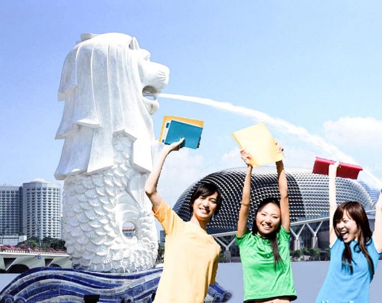 Môi trường cao đẳng là một công sở mini - 5