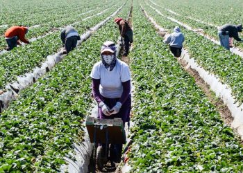 Úc ưu tiên xem xét nhận lao động nhập cư có kỹ năng tại thành phố nhỏ - 1