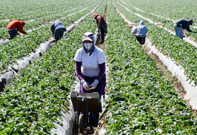 Úc ưu tiên xem xét nhận lao động nhập cư có kỹ năng tại thành phố nhỏ - 1