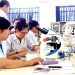 Sự cải cách đại học - Đại học đang tự đánh mất mình - 2