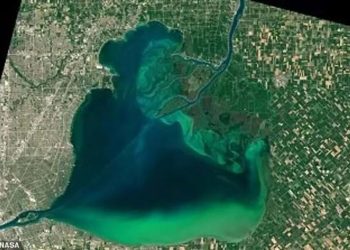 Tảo nở hoa tuyệt đẹp thời cổ đại đang tấn công 33 quốc gia - 1