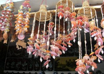 Vỏ ốc: Quà đẹp của biển - 1