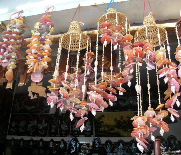 Vỏ ốc: Quà đẹp của biển - 1
