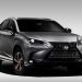 Lexus NX 300 2020 phiên bản Black Line Special Edition nổi bật với các điểm nhấn bằng đồng - 1