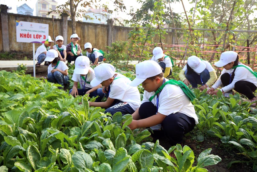 Chương trình giáo dục dinh dưỡng học đường, giúp trẻ em Việt Nam có cuộc sống khỏe mạnh hơn-1