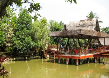 Cồn Phụng - Khu du lịch sinh thái hấp dẫn của Bến Tre-3