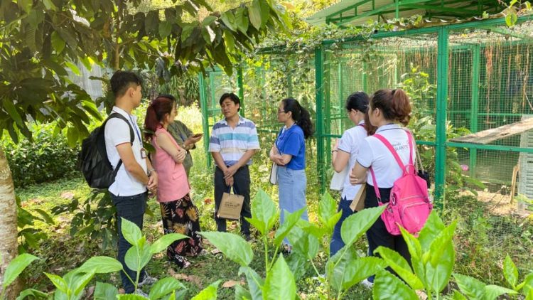 Giao trả mèo rừng quý hiếm về vườn quốc gia Cát Tiên -3