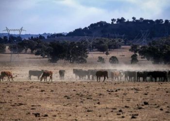 Thiệt hại biến đổi khí hậu có thể lớn hơn khủng hoảng tài chính -2