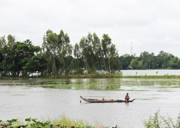Trà dư tửu hậu: Cắm câu, nghề đâu có dễ -5