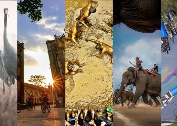 14 tác phẩm xuất sắc nhất đoạt giải 'Di sản Việt Nam 2019' - 1
