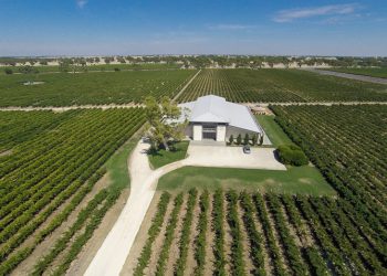 Khám phá vùng trồng nho Coonawarra nước Úc - 2