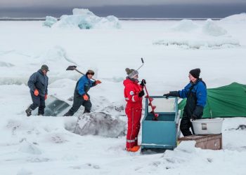 Ariston đồng hành cùng cuộc chiến chống biến đổi khí hậu trên toàn cầu-2
