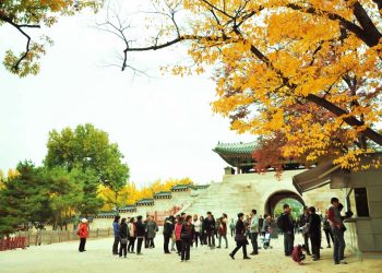 Các bước du học Hàn Quốc - 2