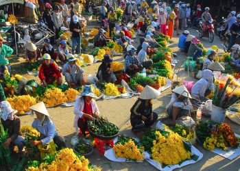 Ngọn gió cuối năm-2