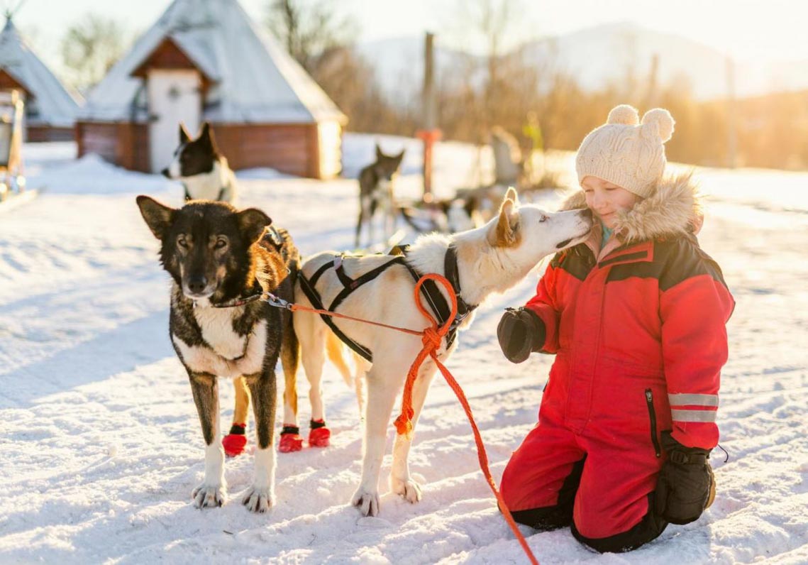 Sống trong vùng “mặt trời nửa đêm” Lapland-13