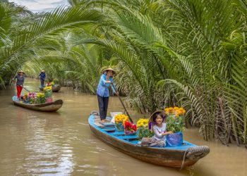 Vĩnh Long có bao nhiêu cái cầu?-4