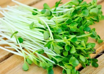 Ăn “rau nhi đồng” -8