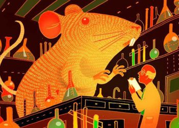 Chuột ơi, xin cảm ơn! - 3